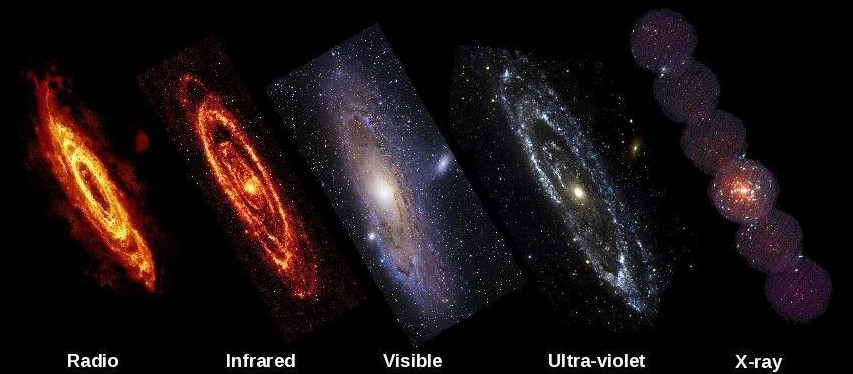 Andromeda from X-ray to radio